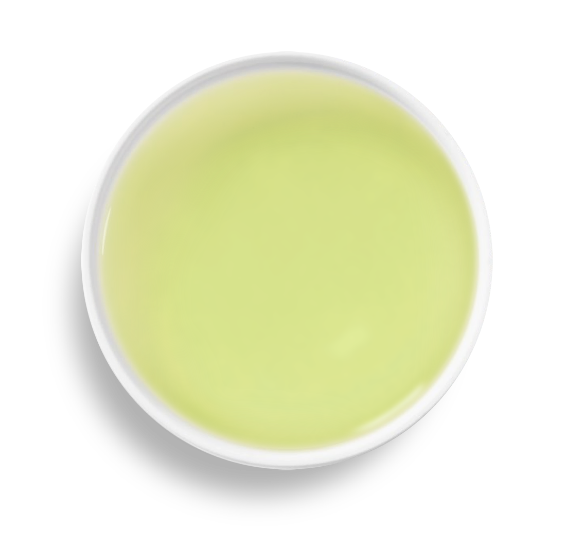 Sencha Satsuma